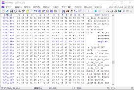 Risingstorm2 中文设置方法大