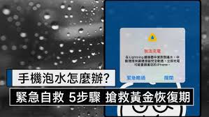 惊了！苹果手机进水？快速拯救秘籍大公开！